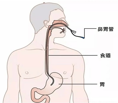 微信图片_20250121091858.jpg